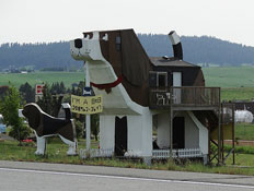 מלון כלב באיידהו (צילום: mako)